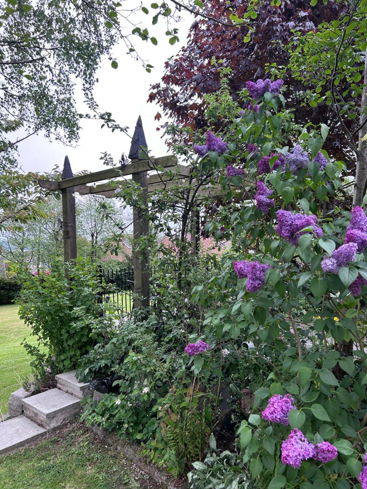 The Loft At Rowantree Cottage Dromara エクステリア 写真