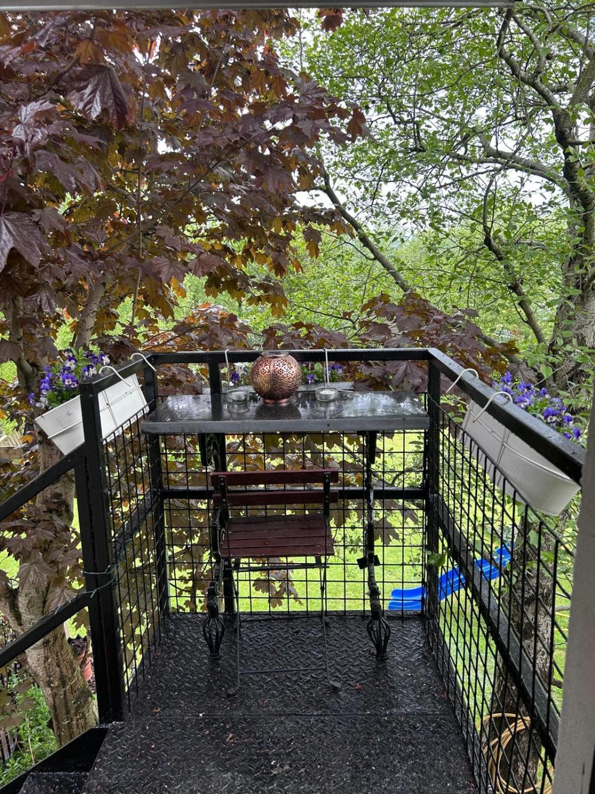 The Loft At Rowantree Cottage Dromara エクステリア 写真